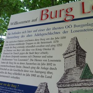 20150716 Burgruine Losenstein (94).JPG